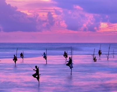 Sri Lanka purple sunset