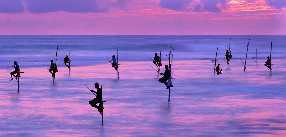 Sri Lanka purple sunset