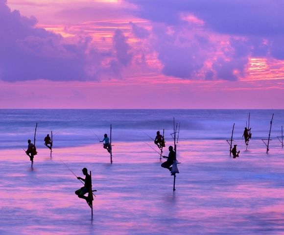 Sri Lanka purple sunset
