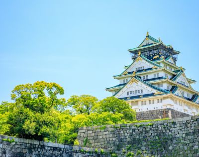 A majestic traditional Japanese castle with white walls and green tiled roofs, surrounded by lush green trees against a clear blue sky, conveys tranquility.