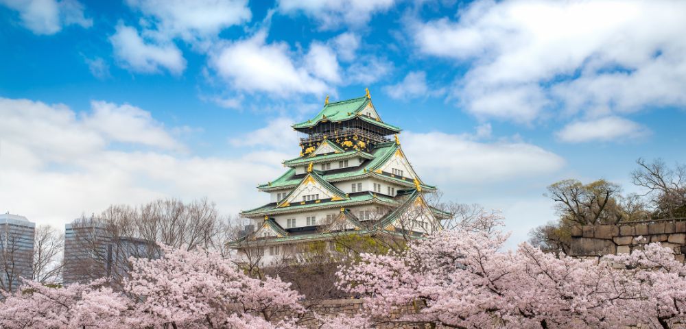 Traditional Japanese castle with green-roofed tiers, surrounded by vibrant pink cherry blossoms under a bright blue sky, creating a serene and historic atmosphere.