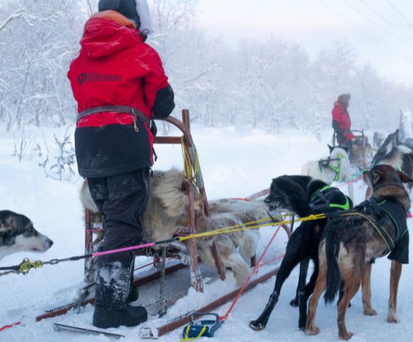Northern Lights & Arctic Circle Adventure - Gallery Image