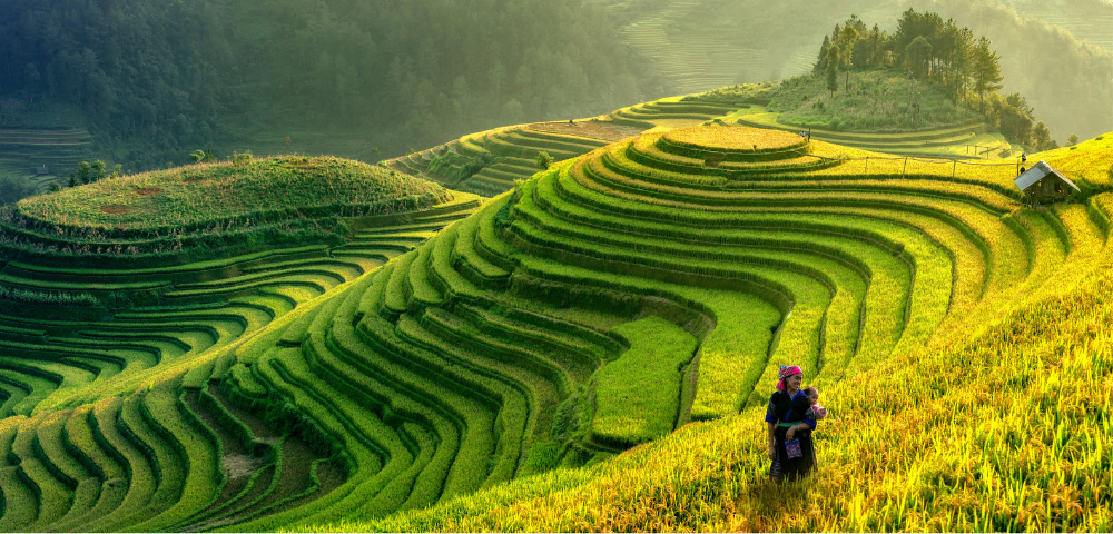 17 Day Great Wall to Halong Bay Tour Image 1