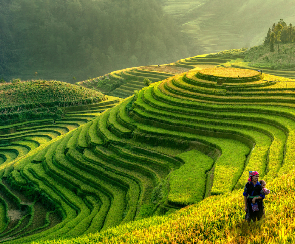 17 Day Great Wall to Halong Bay Tour Image 1