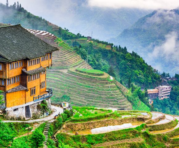 Wooden building overlooks lush green terraced rice fields on a misty mountain slope, conveying tranquility and nature's harmony.