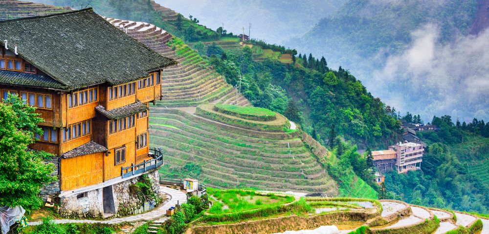 Wooden building overlooks lush green terraced rice fields on a misty mountain slope, conveying tranquility and nature's harmony.