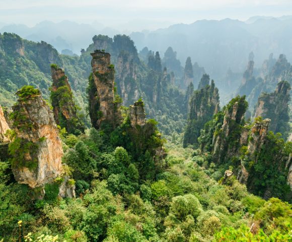 Towering rock formations covered in lush green vegetation rise from a dense forest in a mountainous area, creating a serene and majestic landscape.