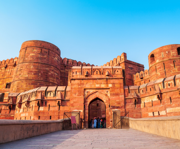 8 Day India’s Golden Triangle & Tigers Tour - Gallery Image