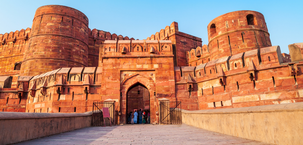 8 Day India’s Golden Triangle & Tigers Tour - Gallery Image