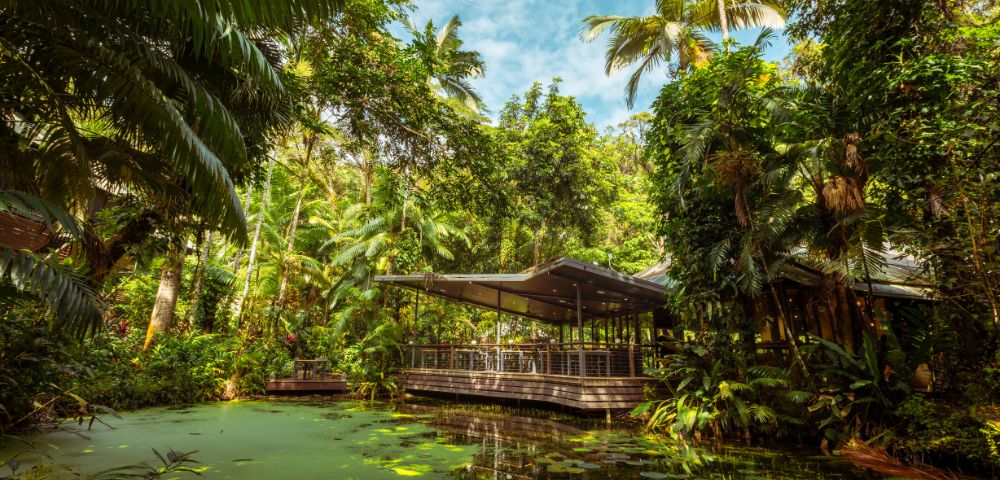 A modern glass building nestled in a lush rainforest, surrounded by tall trees and a serene, lily-covered pond under a bright blue sky.