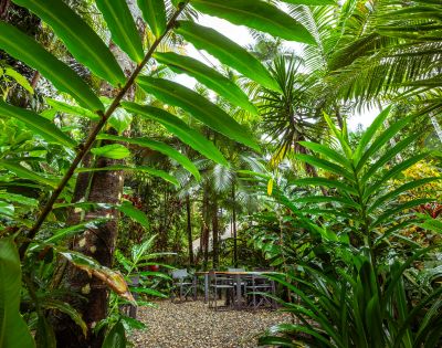 A serene tropical garden with lush green foliage surrounding a tranquil seating area. Wooden chairs and a table rest on a pebble path, conveying a peaceful ambiance.
