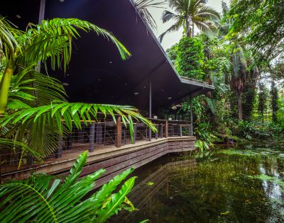 Tropical scene with a modern wooden building overlooking a lush pond, surrounded by vibrant green palm fronds and dense jungle foliage. Peaceful ambiance.
