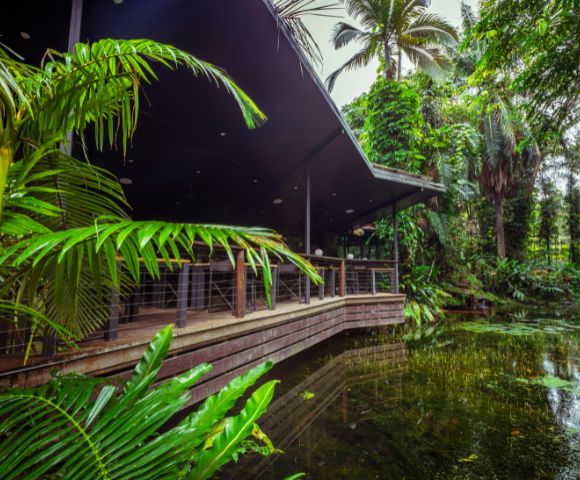 Tropical scene with a modern wooden building overlooking a lush pond, surrounded by vibrant green palm fronds and dense jungle foliage. Peaceful ambiance.