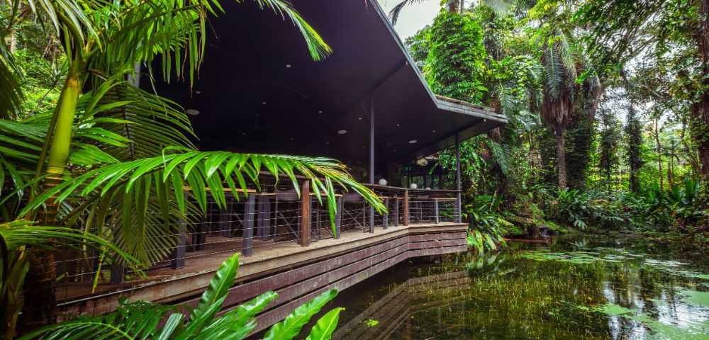 Tropical scene with a modern wooden building overlooking a lush pond, surrounded by vibrant green palm fronds and dense jungle foliage. Peaceful ambiance.