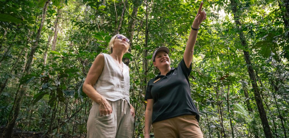 Two women in a lush forest setting. One points upward, sharing information. Their expressions are engaged and curious amid dense green foliage.