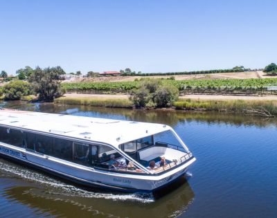A modern white riverboat cruises along a calm river, surrounded by lush greenery and vineyard rows under a clear blue sky, evoking a sense of tranquility.