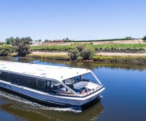 A modern white riverboat cruises along a calm river, surrounded by lush greenery and vineyard rows under a clear blue sky, evoking a sense of tranquility.