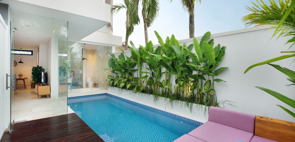 Modern patio with a small blue-tiled pool, surrounded by lush green plants and palm trees. Lounge area features a pink cushion and blue towels, exuding relaxation.