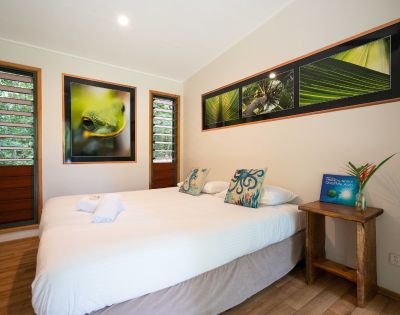 A stylish bedroom featuring a double bed with decorative pillows, framed nature photographs on the wall, wooden furniture, and open windows allowing natural light and greenery to come through.