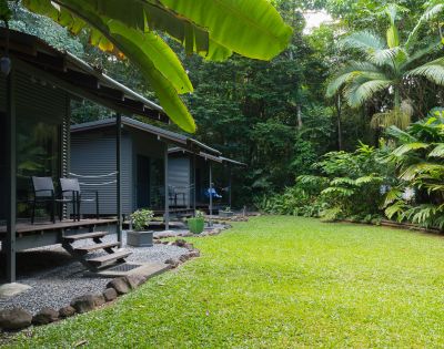A serene garden area features two modern cabins with chairs on a wooden deck, surrounded by lush tropical vegetation and a well-maintained grassy lawn.