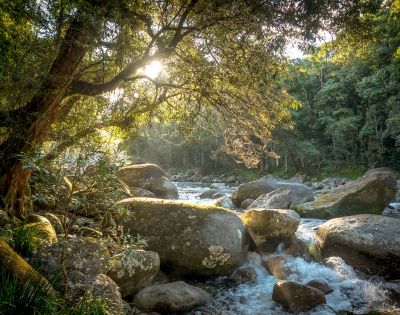 Sunlight filters through trees onto a serene river with large boulders and bubbling water, surrounded by lush greenery. Peaceful and natural setting.