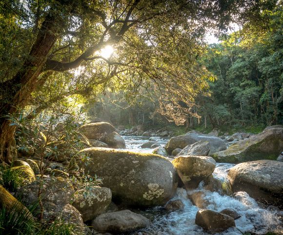 Sunlight filters through trees onto a serene river with large boulders and bubbling water, surrounded by lush greenery. Peaceful and natural setting.