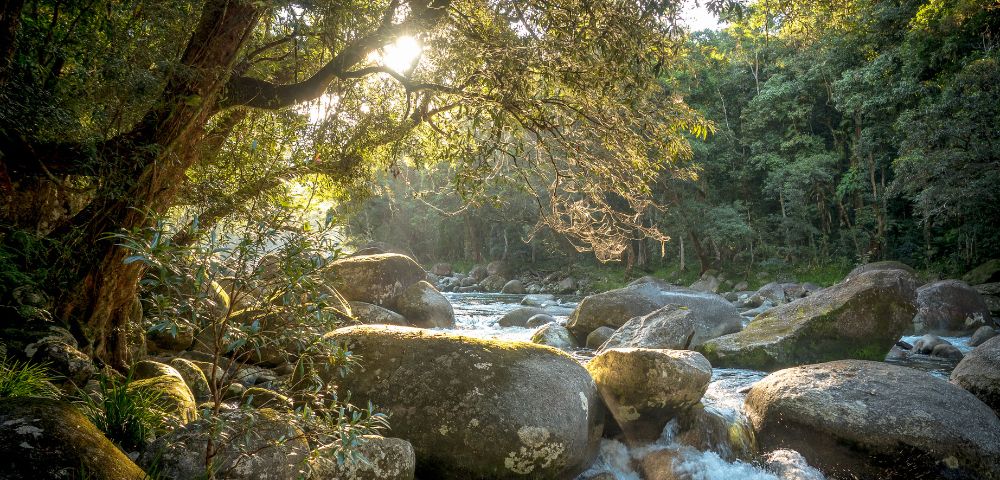 Sunlight filters through trees onto a serene river with large boulders and bubbling water, surrounded by lush greenery. Peaceful and natural setting.