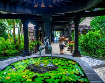 Serene tropical garden with lush greenery, a stone pond with lily pads and bird sculptures, and a person carrying fruit. A tranquil, welcoming atmosphere.