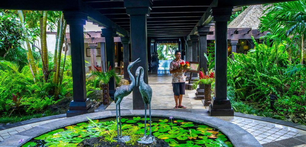Serene tropical garden with lush greenery, a stone pond with lily pads and bird sculptures, and a person carrying fruit. A tranquil, welcoming atmosphere.