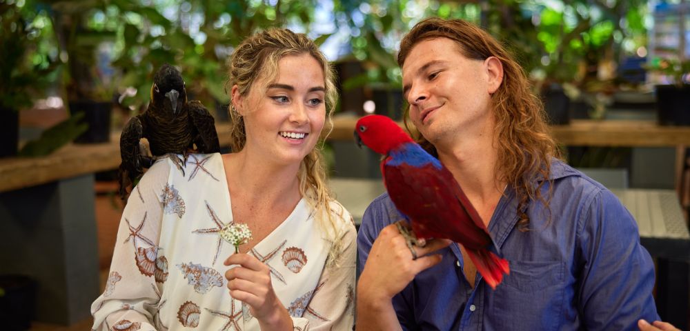 A couple holds colourful birds, one perched on each shoulder, amidst lush greenery in a casual indoor setting.