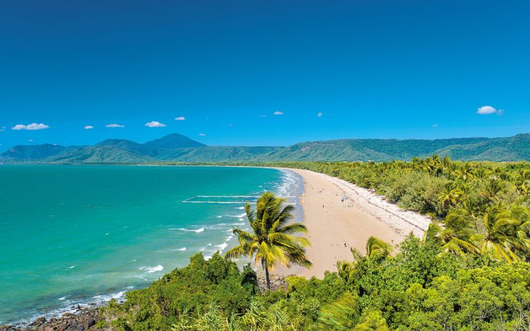 Beach view from a hilltop, showcasing sandy shores and gentle waves under a clear blue sky.