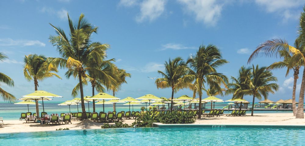 Tropical beach scene with palm trees, yellow beach umbrellas, and lounge chairs on white sand. A bright blue sky and turquoise ocean create a relaxing vibe.
