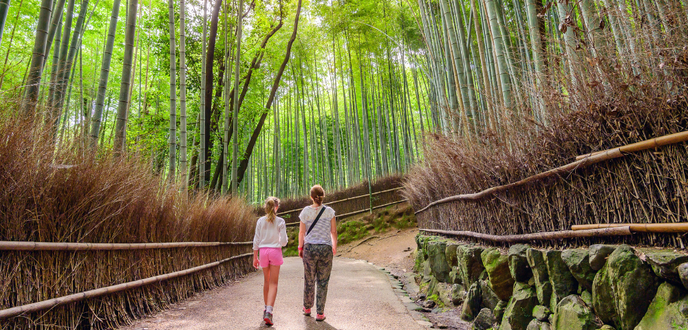 10 Day Japan Theme Parks and Family Fun Tour Image 1