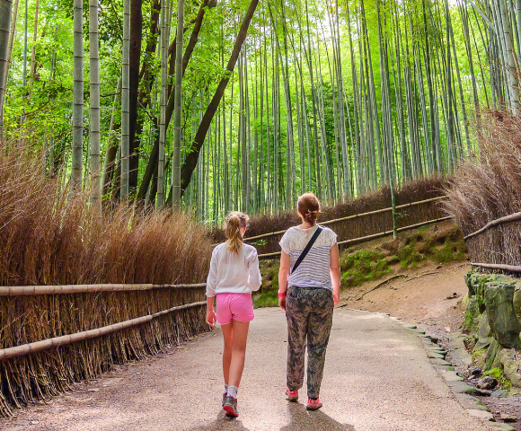 10 Day Japan Theme Parks and Family Fun Tour Image 1