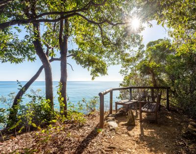 Seaside overlook with wooden bench under lush trees, sun peeking through leaves, offering tranquil ocean view. Sunlit, serene, inviting nature scene.
