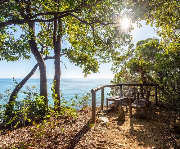 Seaside overlook with wooden bench under lush trees, sun peeking through leaves, offering tranquil ocean view. Sunlit, serene, inviting nature scene.