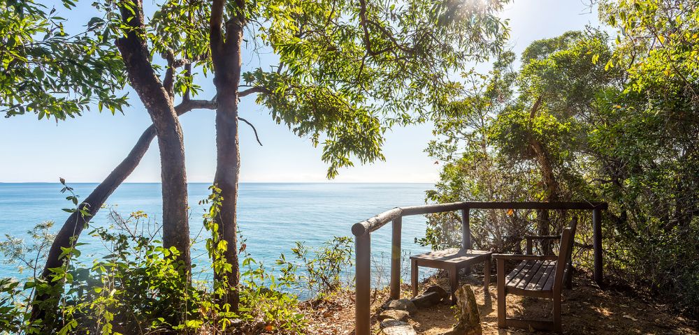 Seaside overlook with wooden bench under lush trees, sun peeking through leaves, offering tranquil ocean view. Sunlit, serene, inviting nature scene.