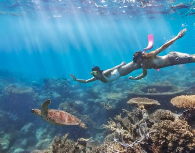 A man and woman snorkel underwater amidst vibrant coral reefs, closely following a sea turtle. The scene is serene, with sunlight streaming through clear blue water.