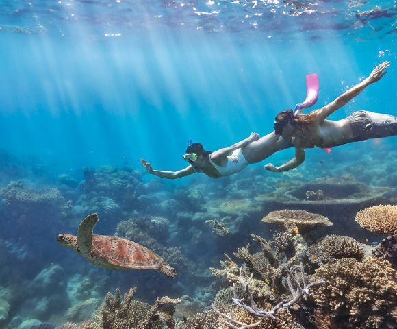 A man and woman snorkel underwater amidst vibrant coral reefs, closely following a sea turtle. The scene is serene, with sunlight streaming through clear blue water.
