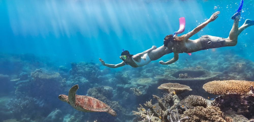A man and woman snorkel underwater amidst vibrant coral reefs, closely following a sea turtle. The scene is serene, with sunlight streaming through clear blue water.