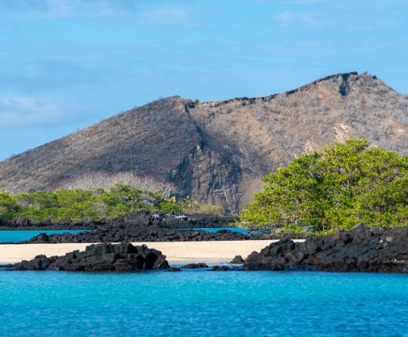 A serene landscape features a rugged mountain backdrop, lush green foliage, and a sandy beach with clear turquoise waters under a bright blue sky.