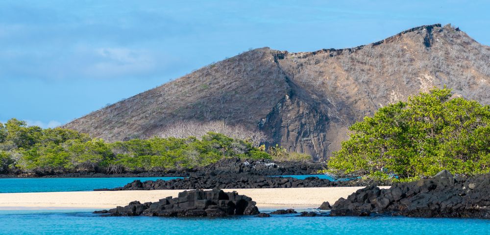 A serene landscape features a rugged mountain backdrop, lush green foliage, and a sandy beach with clear turquoise waters under a bright blue sky.
