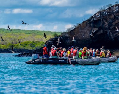 A group of people wearing life jackets sit in an inflatable boat on blue water, surrounded by flying birds, with a rocky island and green vegetation in the background.