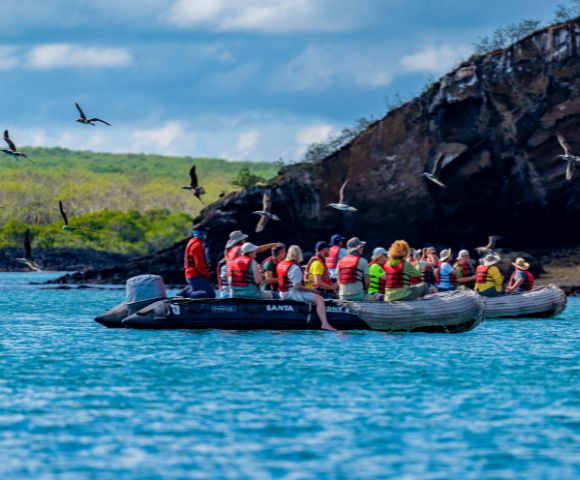 A group of people wearing life jackets sit in an inflatable boat on blue water, surrounded by flying birds, with a rocky island and green vegetation in the background.
