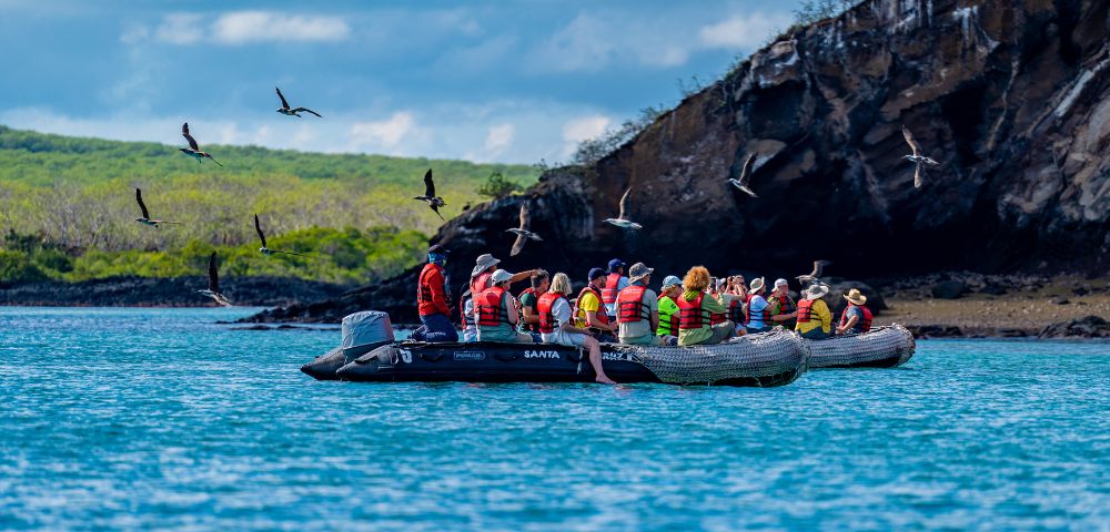 A group of people wearing life jackets sit in an inflatable boat on blue water, surrounded by flying birds, with a rocky island and green vegetation in the background.