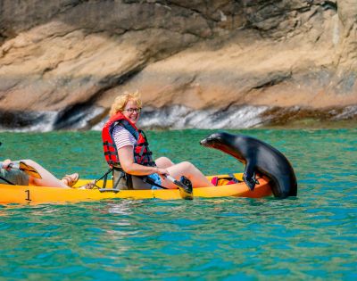 A sea lion playfully interacts with a smiling kayaker on a bright yellow kayak, set against a rocky shoreline and vibrant turquoise water.