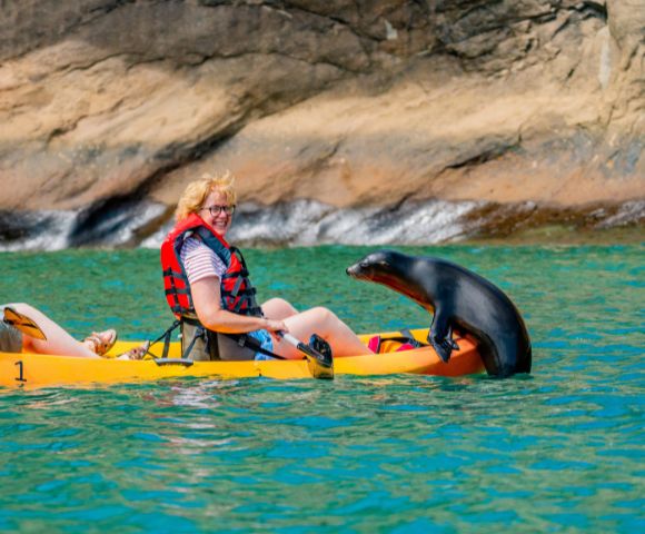 A sea lion playfully interacts with a smiling kayaker on a bright yellow kayak, set against a rocky shoreline and vibrant turquoise water.