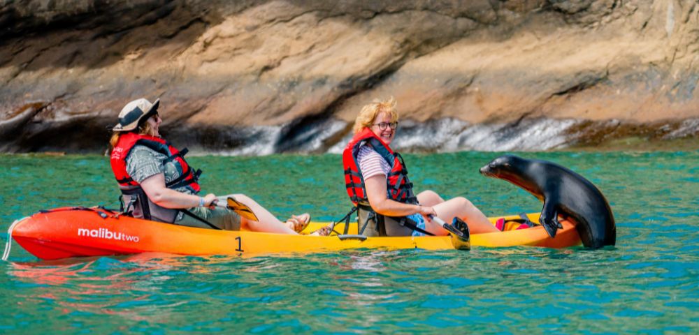 A sea lion playfully interacts with a smiling kayaker on a bright yellow kayak, set against a rocky shoreline and vibrant turquoise water.
