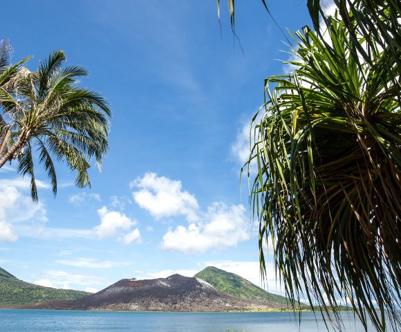 A serene coastal scene featuring palm trees and lush vegetation, with a volcanic landscape under a bright blue sky.