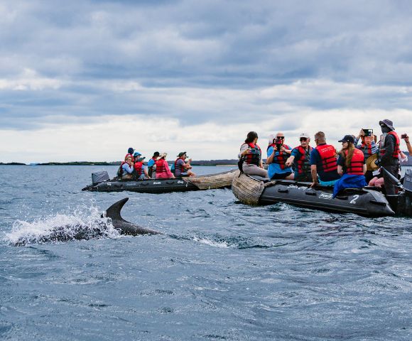 A dolphin swims near a group of tourists in life jackets on inflatable boats, under a cloudy sky.